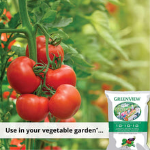 Load image into Gallery viewer, GreenView 10-10-10 All Purpose Fertilizer - 40LB Bag