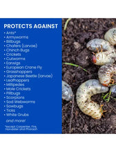 Load image into Gallery viewer, BioAdvanced 24 Hour Grub Killer Plus Granules - 20LB Bag