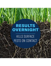 Load image into Gallery viewer, BioAdvanced 24 Hour Grub Killer Plus Granules - 20LB Bag