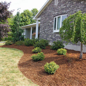 Triple Ground Mulch for Sale at FSBulk.com