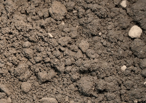 Unscreened Topsoil for sale at FSBulk.com